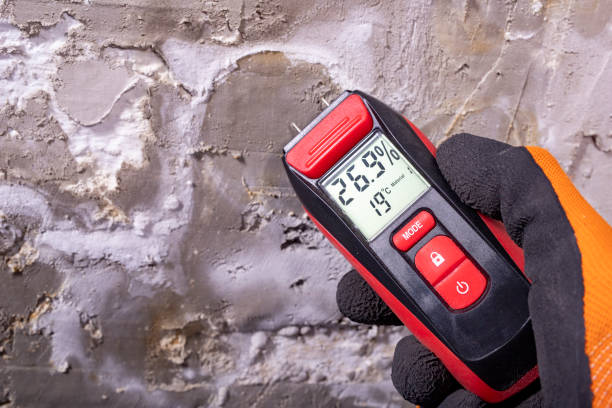 Best Mold Remediation for Specific Building Types in Loudon, TN