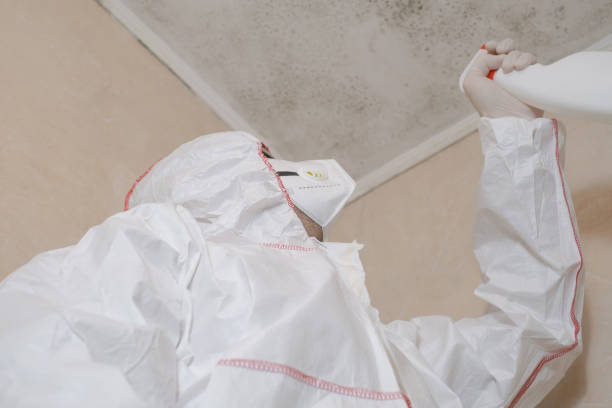 Best Mold Remediation for Specific Building Types in Loudon, TN